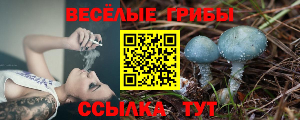 Галлюциногенные грибы MAGIC MUSHROOMS Будённовск